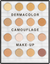 Dermacolor Camouflage Mini-Palette