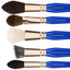 Bdellium Golden Triangle Phase 2 Brush Set with Pouch - The Makeup Armoury