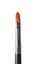 Titanic Pro-FX Brush 105 - Long Filbert - The Makeup Armoury