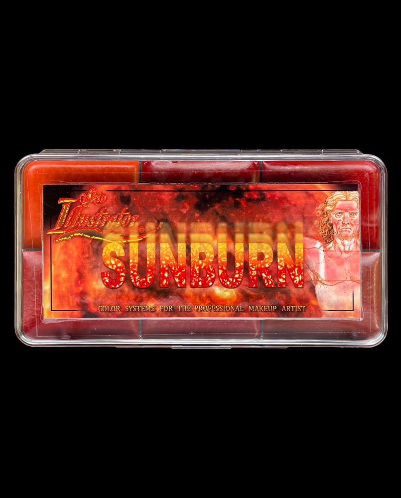 Artistry Palette - Burnt
