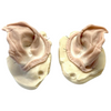 Fake FX Prosthetic Orc ears